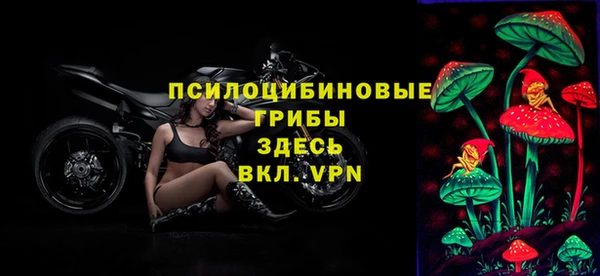альфа пвп Билибино