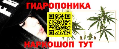 бошки Будённовск