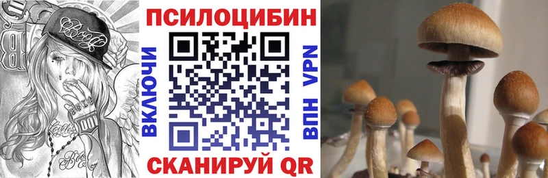 Галлюциногенные грибы GOLDEN TEACHER  Ставрополь 