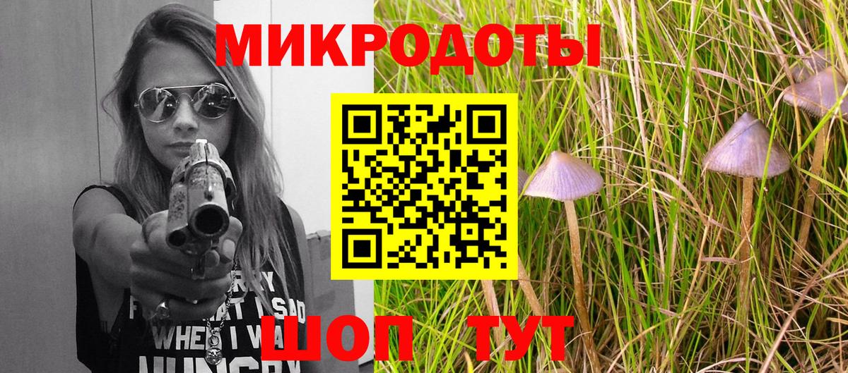 Псилоцибиновые грибы Magic Shrooms Ставрополь